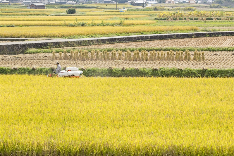 野菜づくりを楽しみながら日々成長中！